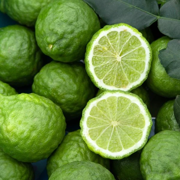 Bergamočių eterinis aliejus (Citrus bergamia) 5 ml