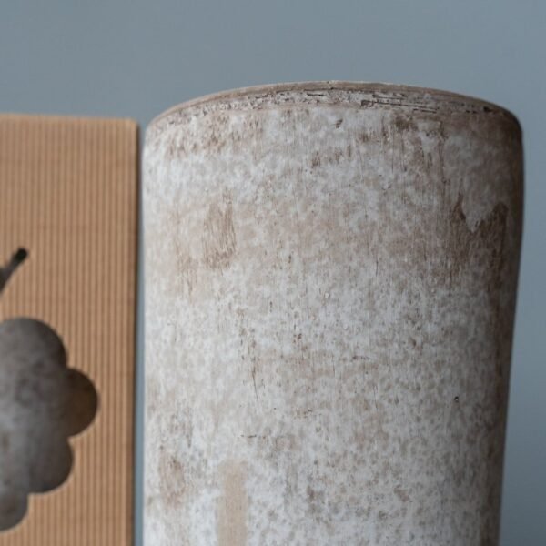 Itališko molio vyno šaldikliai