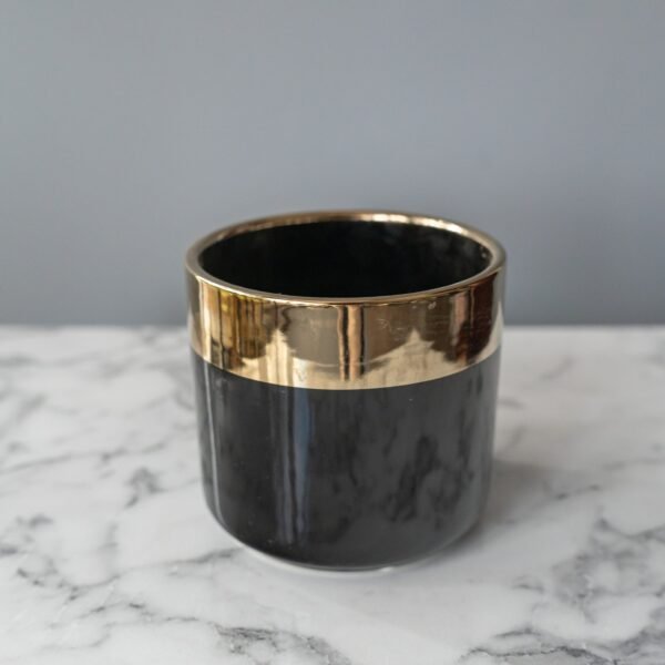 DSC04587-scaled-1.jpg Vazonas "Auksinė juosta"