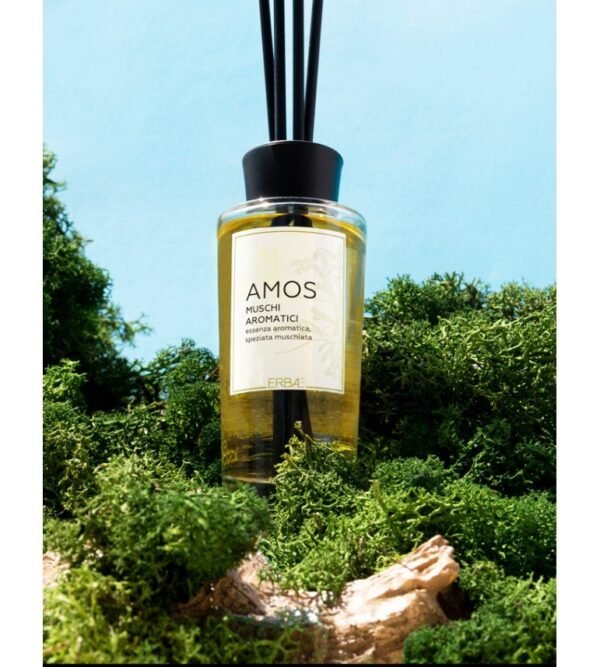 ERBAL namų kvapas su lazdelėmis "Amos"