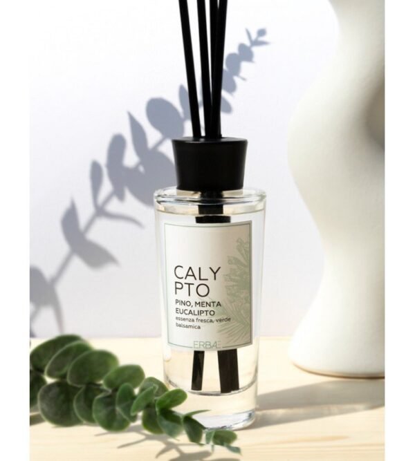 ERBAL namų kvapas su lazdelėmis „Calypto“